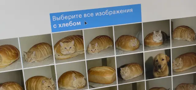 CAPTCHA больше не проблема: обходим защиту как «бог»
